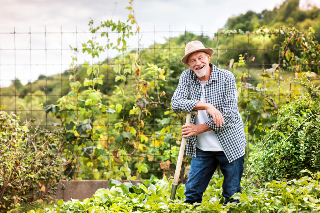Man gardening outdoors in summer with vegetables and plants